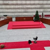 Planejamento de evento corporativo em Taguatinga
